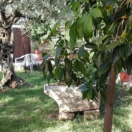 Bed & Breakfast Maneri's *